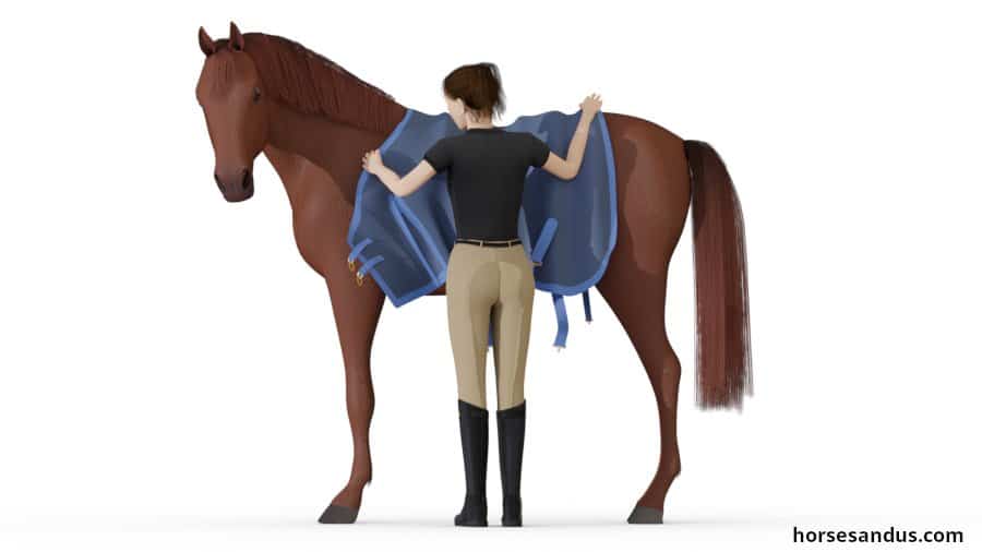 Fit a horse blanket - step 1