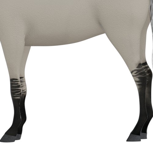 Dun horse zebra stripes