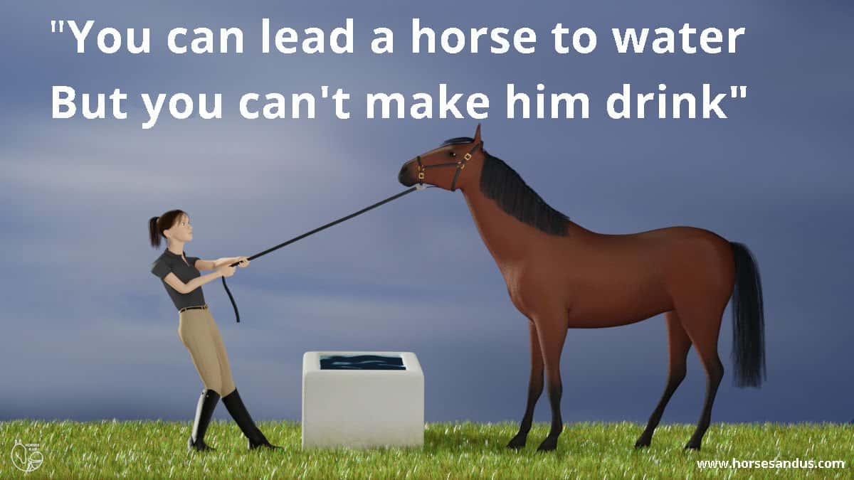 You can lead a horse to water but cant make him drink