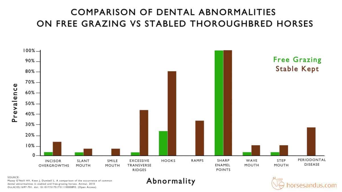 comparison of dental abnormalities on free grazing vs stabled thoroughbred horses