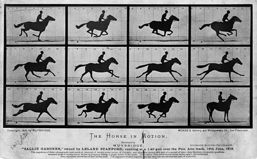 The_Horse_in_Motion