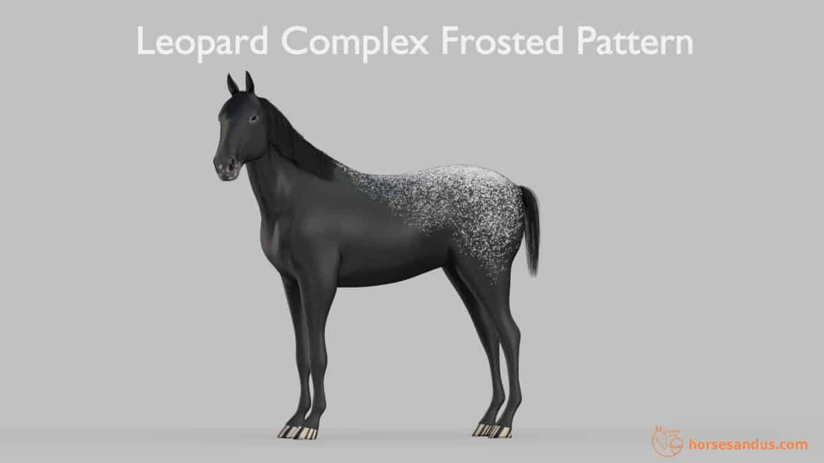 Leopard Complex Frosted Pattern