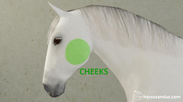 horse cheeks