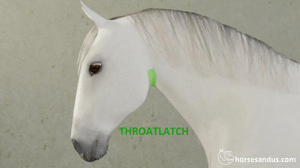 horse throatlatch