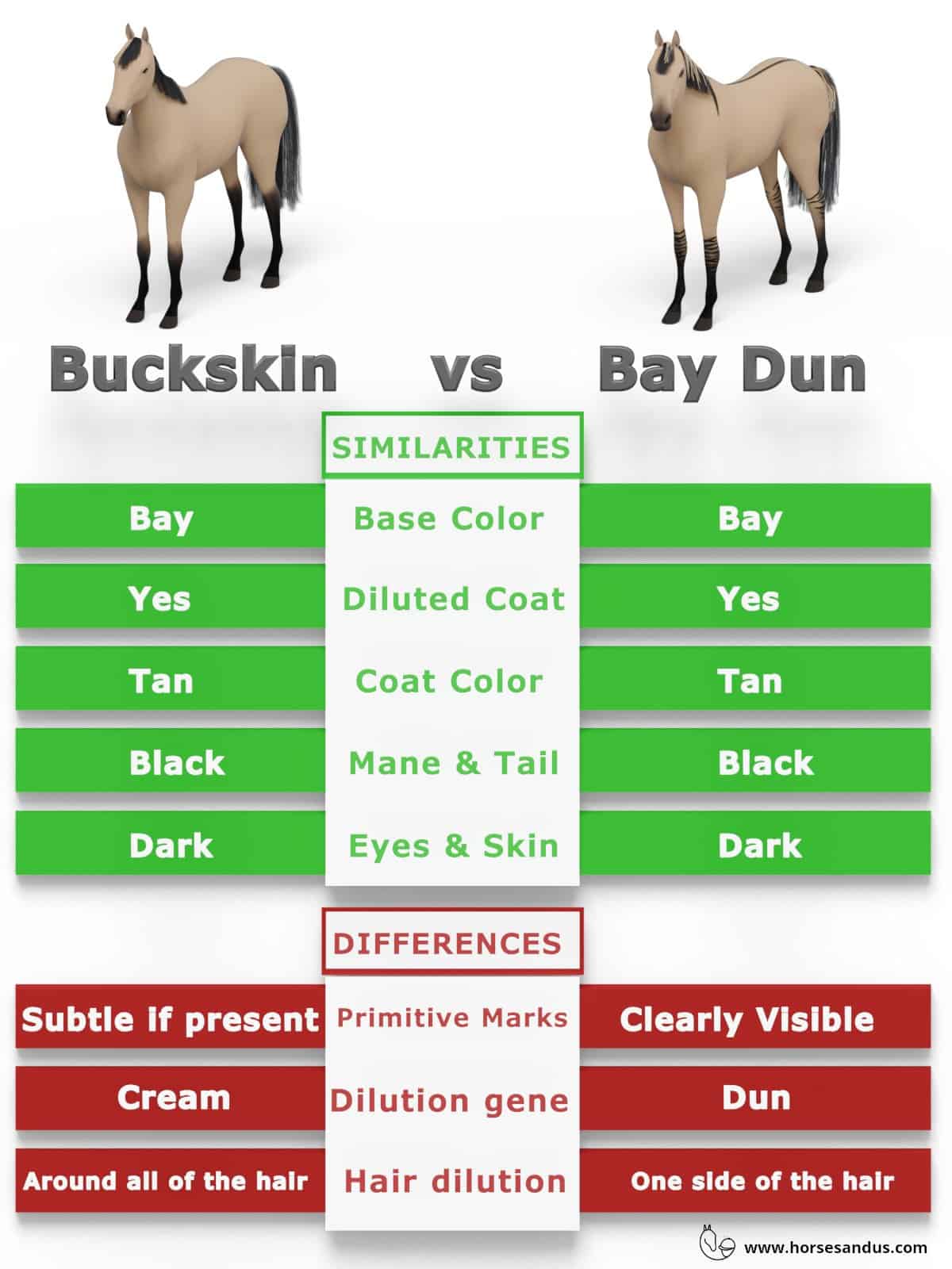 Buckskin vs Bay Dun horses - what are the differences