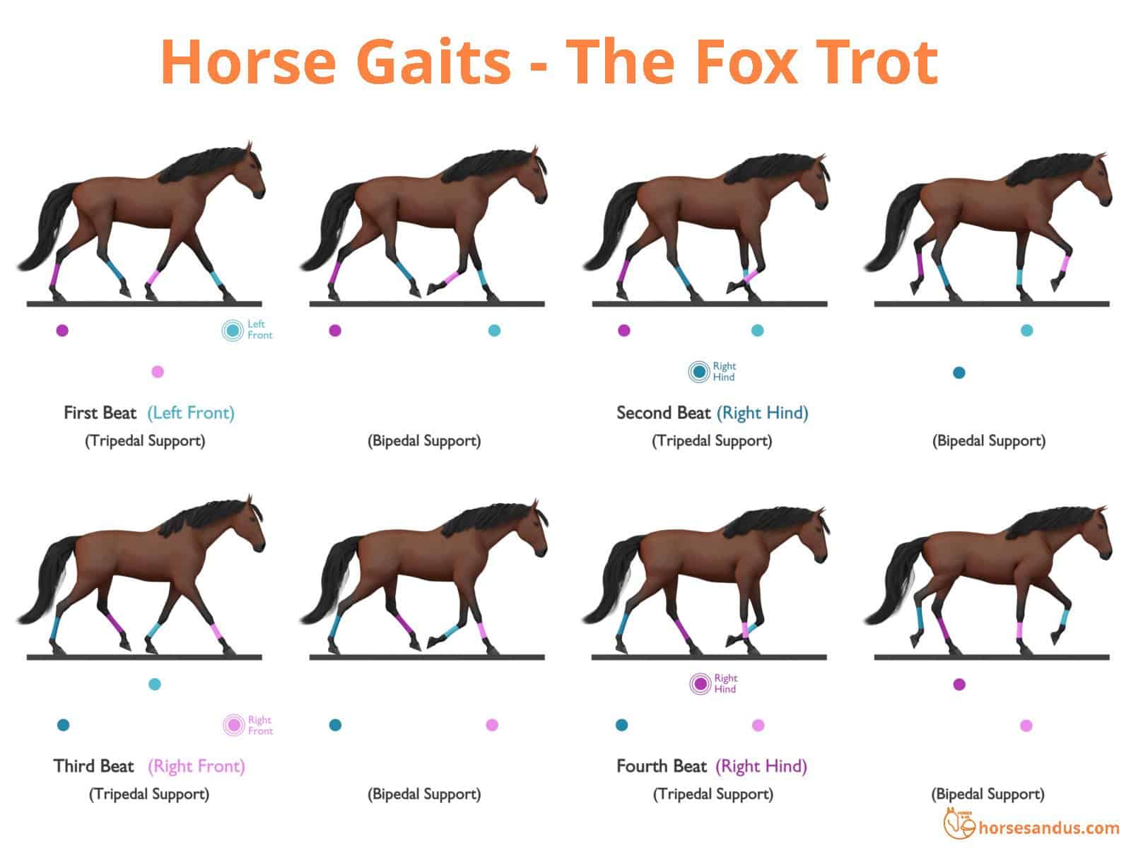 Sequence of footfalls for the Fox Trot