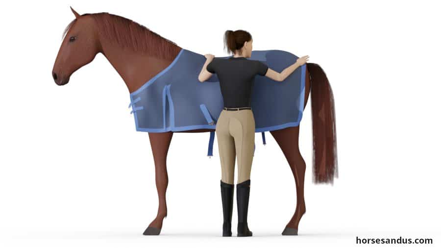 Fit a horse blanket - step 2