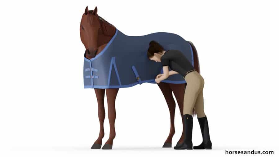 Fit a horse blanket - step 4