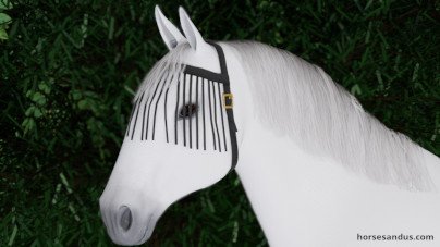 horse fringe mask