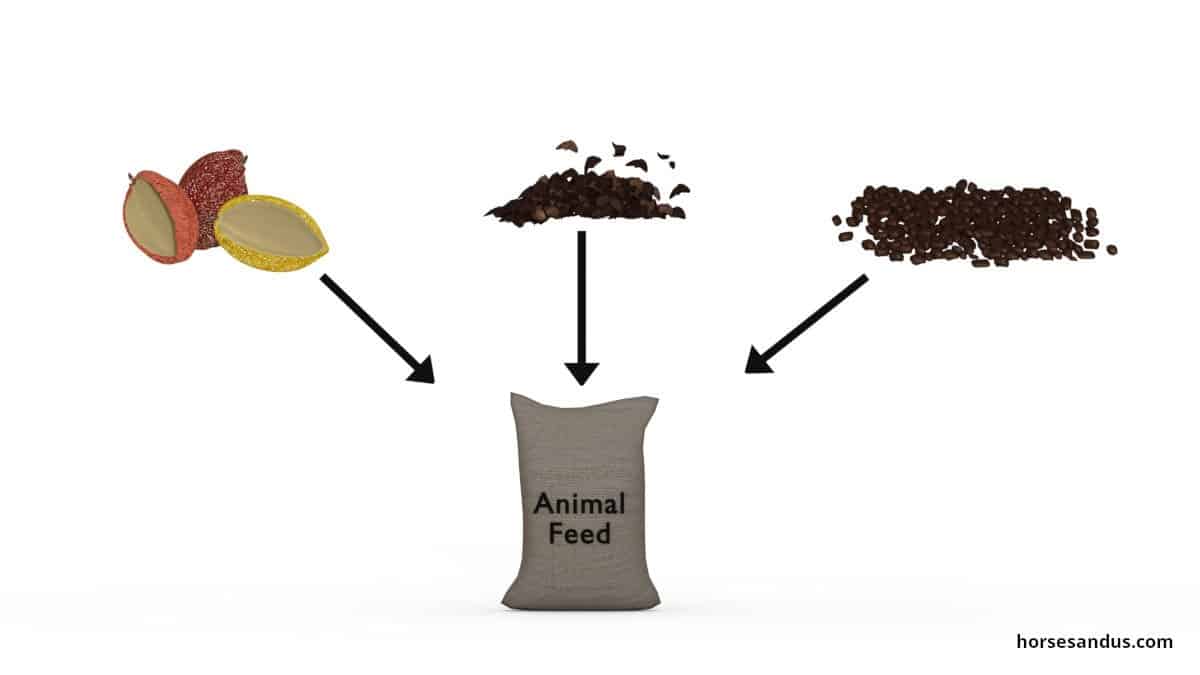 cacao by products in animal feed