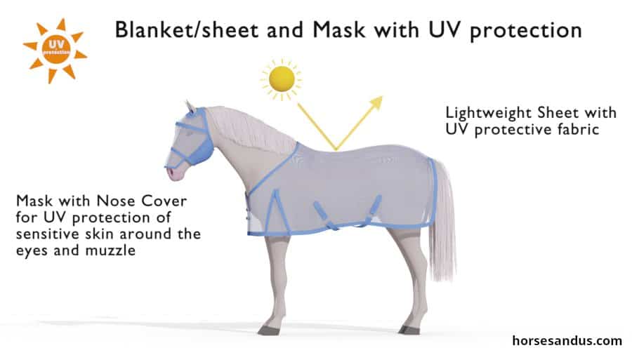 Horse sheet and mask for UV sun protection