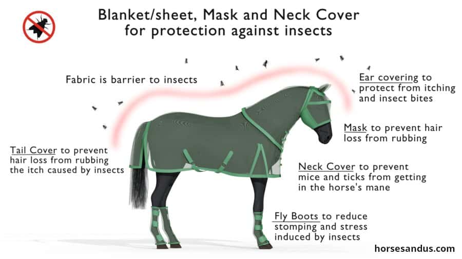 Horse sheet, mask and fly boots for insect protection