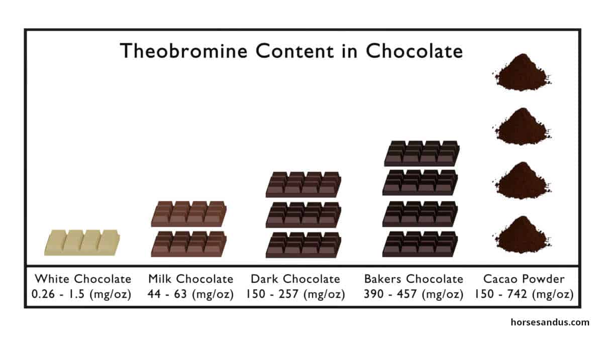 theobromine chocolate chart