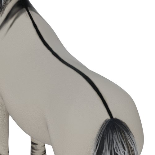 Dun horse dorsal stripe