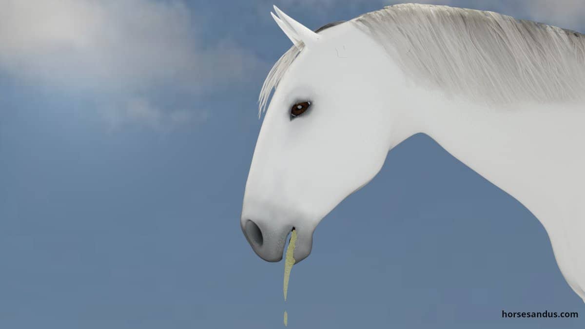 horse drooling looks like he is vomiting