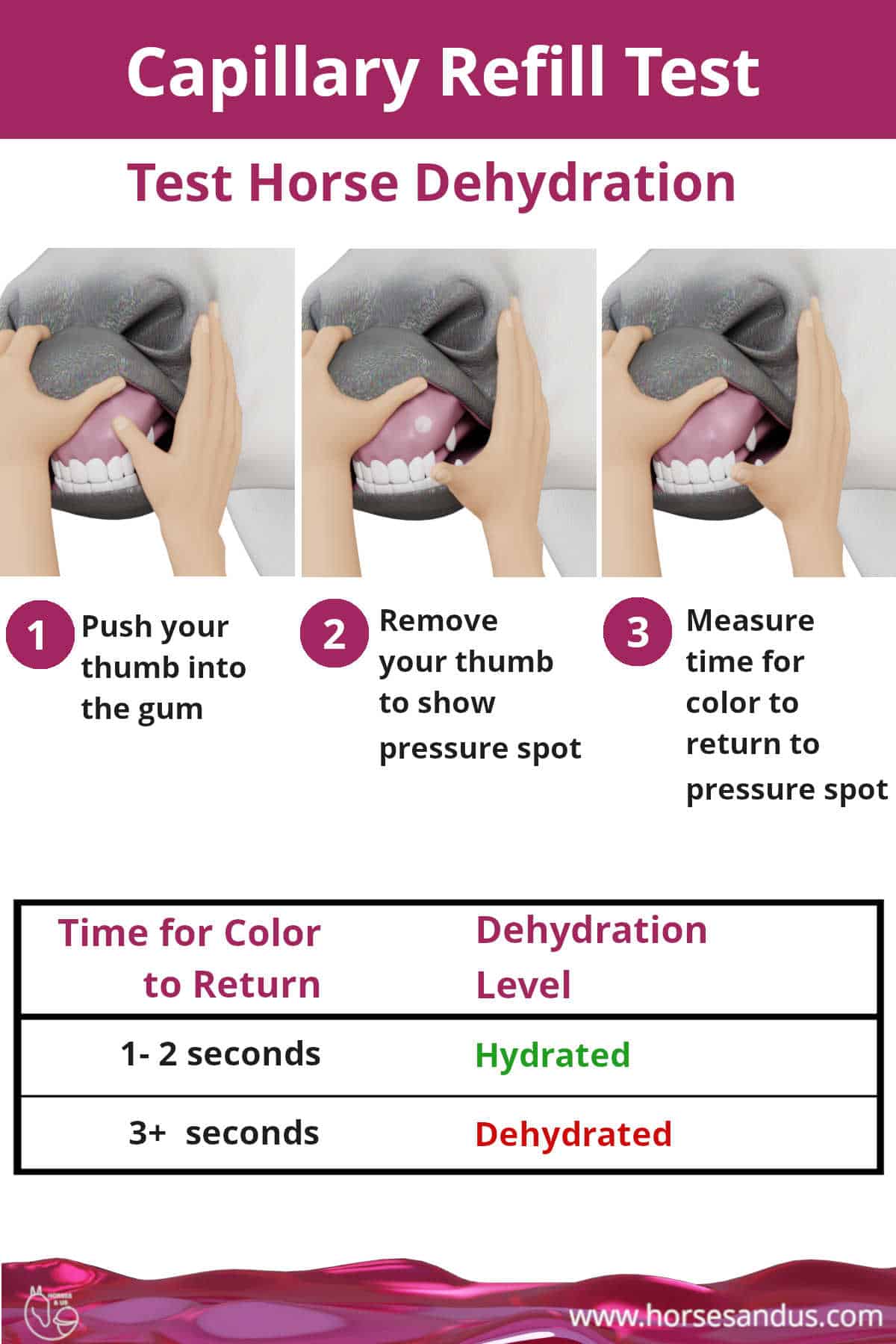 Horse dehydration capillary refill test
