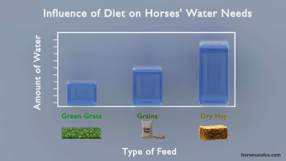horse diet influence on water intake