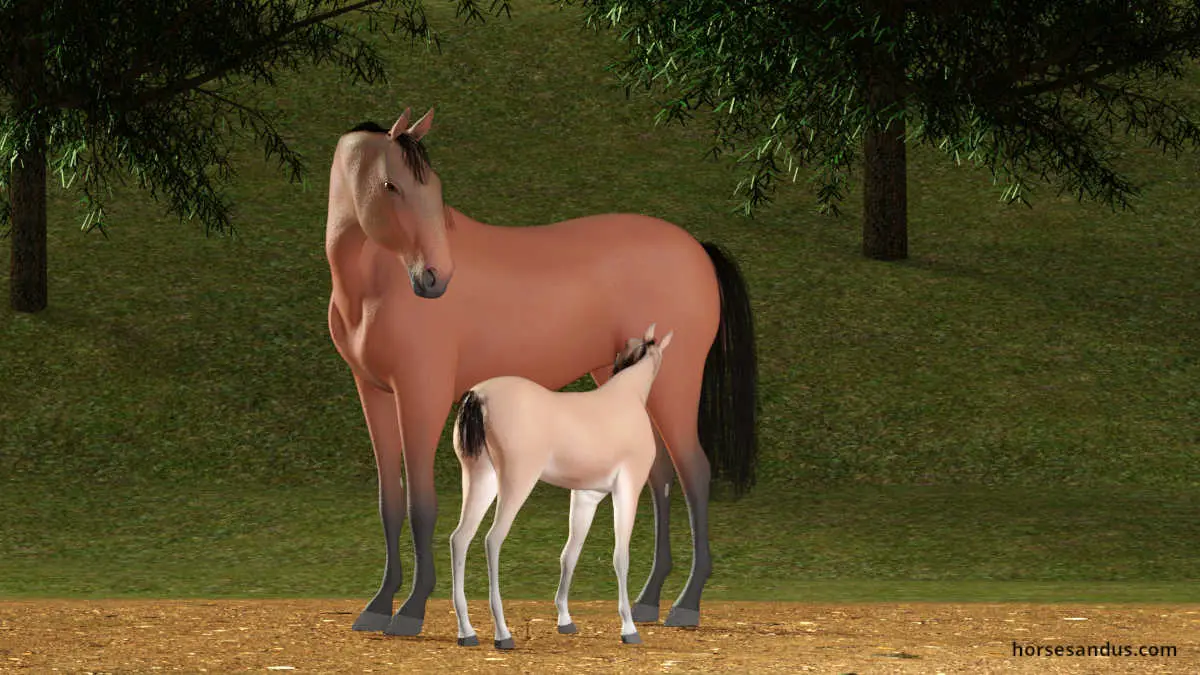 mare with nursing foal