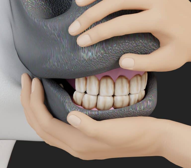 Aging a horse by its teeth