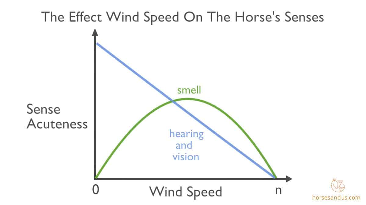 effect of wind on horses senses graph
