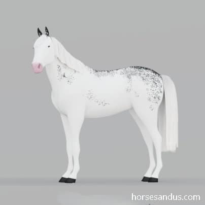 Sabino horse homozygous genes
