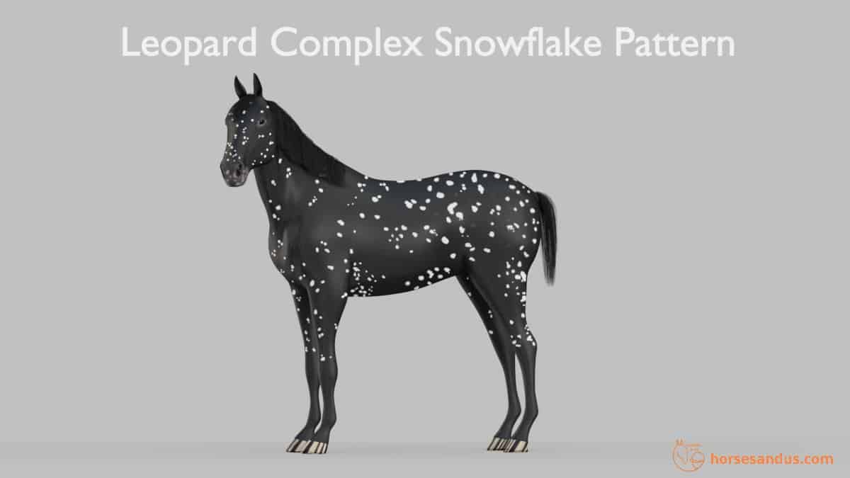 Leopard Complex Snowflake Pattern