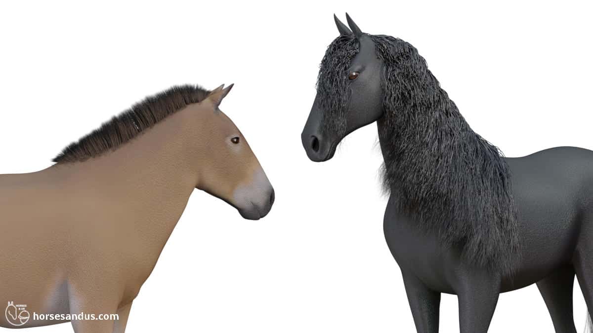 why do horses have manes (short manes vs long manes)