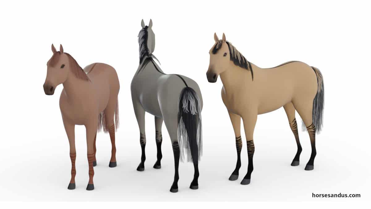 Dun horse coat color
