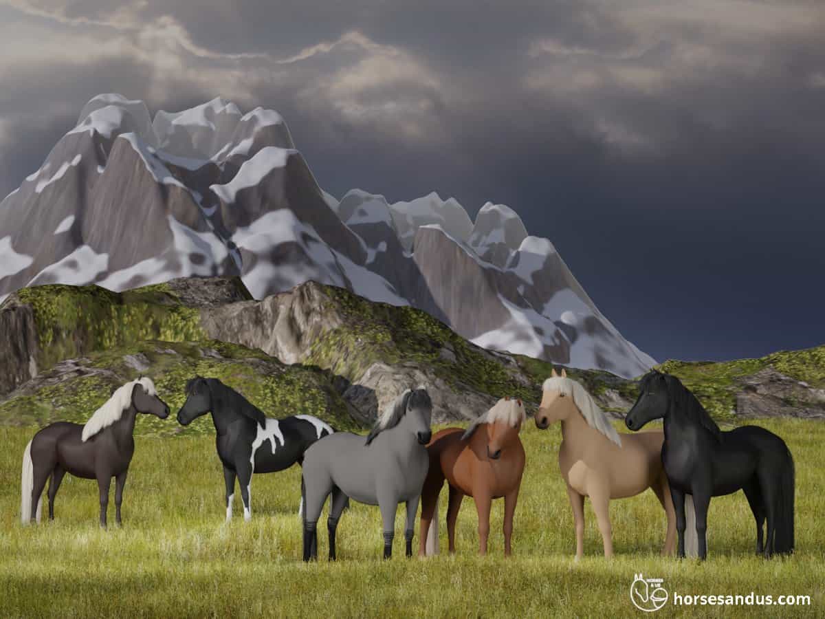 Icelandic horses in their natural envirornment