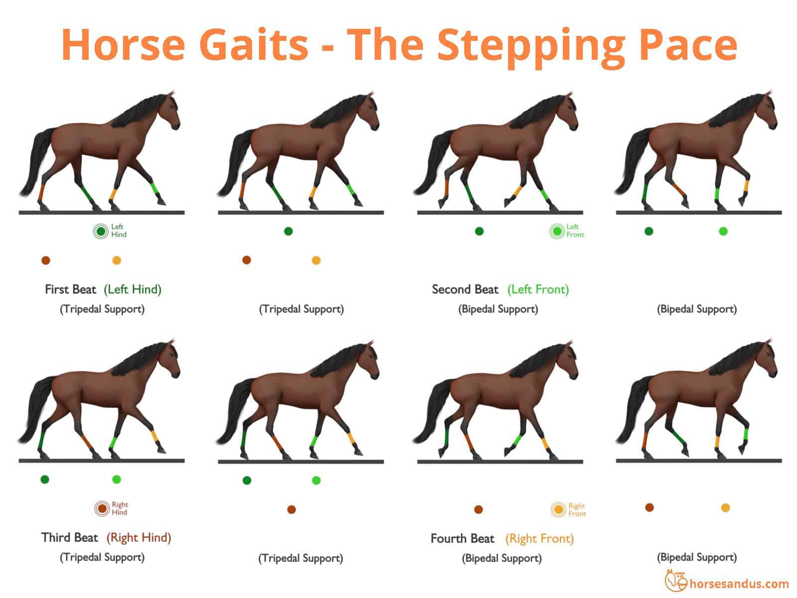 Sequence of footfalls for the Stepping Pace
