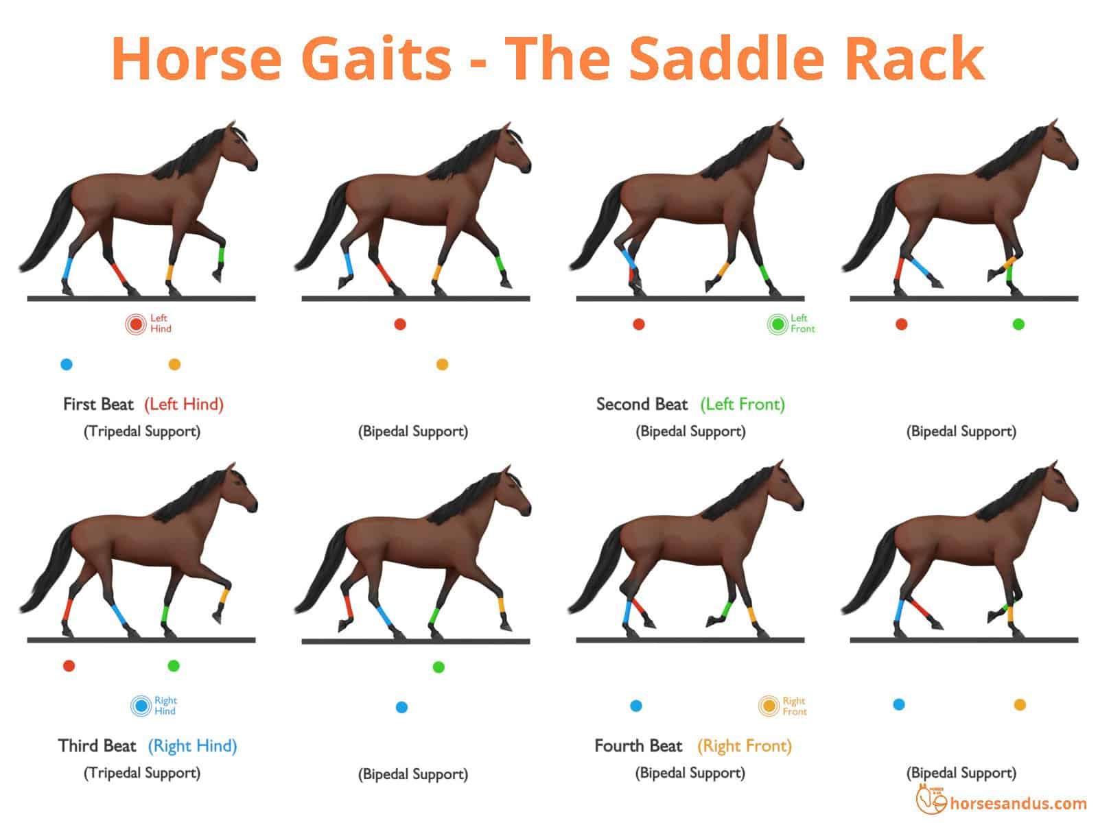 Sequence of footfalls for the Saddle Rack